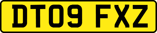 DT09FXZ