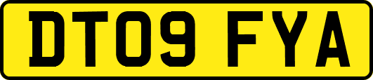 DT09FYA