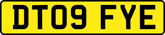 DT09FYE