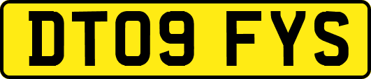 DT09FYS
