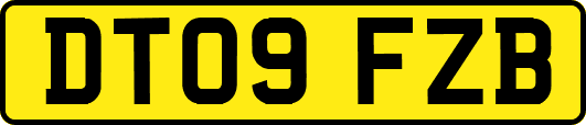 DT09FZB