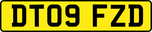 DT09FZD