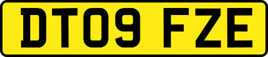 DT09FZE