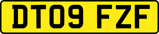 DT09FZF