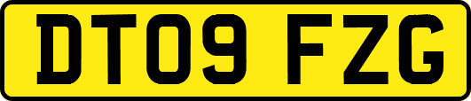 DT09FZG