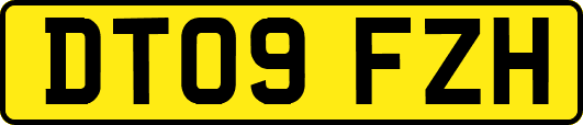 DT09FZH