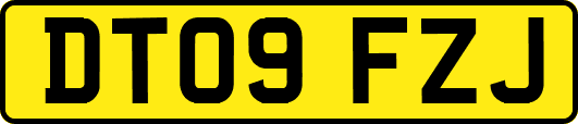 DT09FZJ