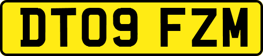 DT09FZM