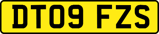 DT09FZS