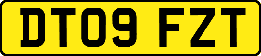 DT09FZT