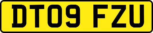 DT09FZU