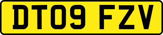 DT09FZV