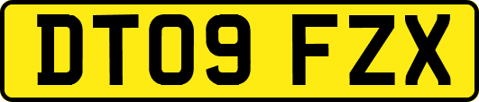 DT09FZX