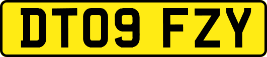 DT09FZY