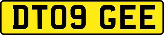 DT09GEE