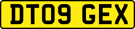 DT09GEX