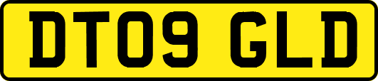 DT09GLD