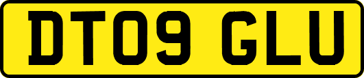 DT09GLU