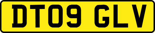 DT09GLV