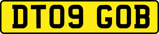 DT09GOB