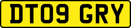 DT09GRY