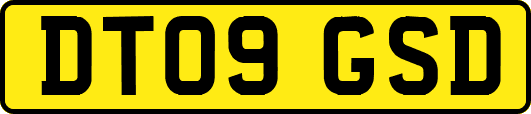 DT09GSD