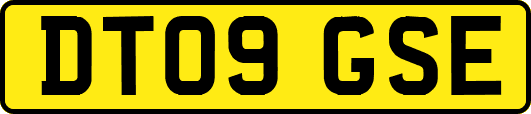 DT09GSE