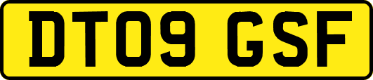 DT09GSF