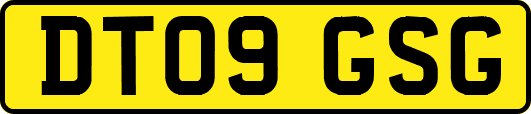 DT09GSG