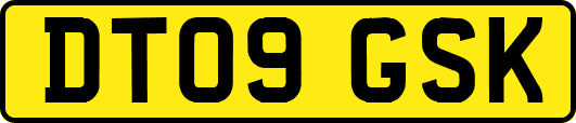DT09GSK
