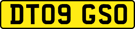 DT09GSO