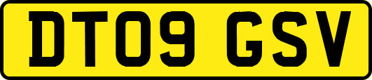 DT09GSV
