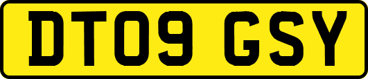 DT09GSY
