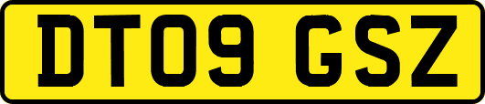 DT09GSZ
