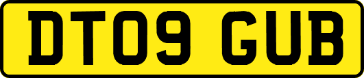 DT09GUB