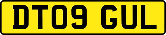 DT09GUL