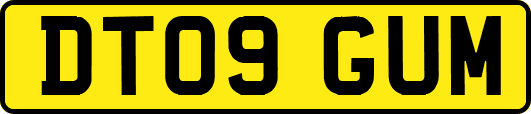 DT09GUM