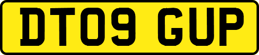 DT09GUP