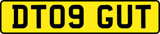 DT09GUT