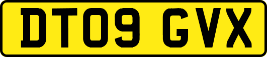 DT09GVX