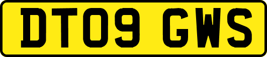 DT09GWS