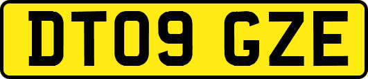 DT09GZE
