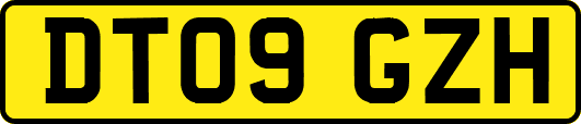 DT09GZH