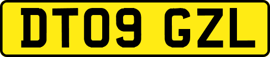 DT09GZL