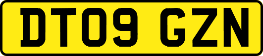 DT09GZN