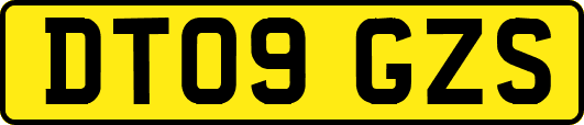 DT09GZS