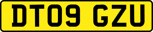 DT09GZU