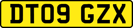 DT09GZX