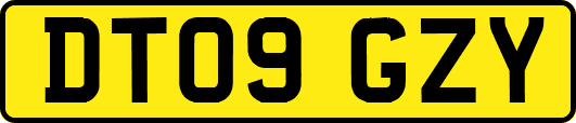 DT09GZY