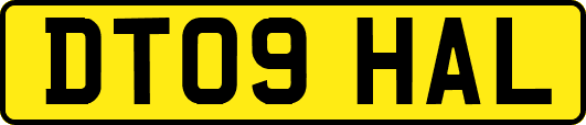 DT09HAL